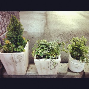 カラーレシピ!!